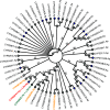FIG 3