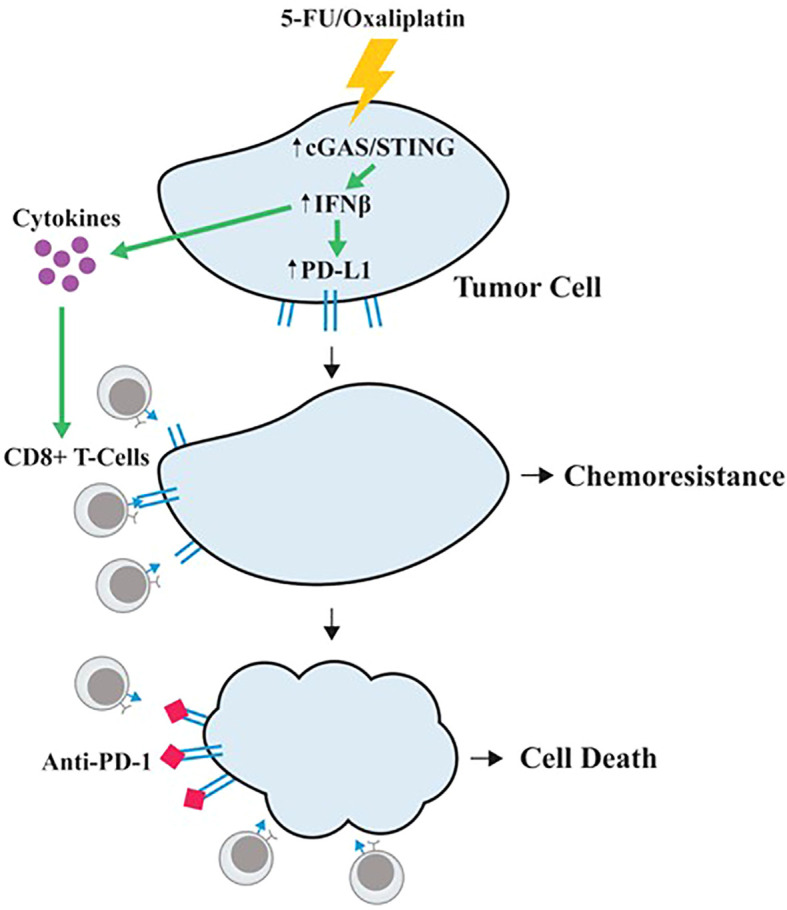 Figure 6