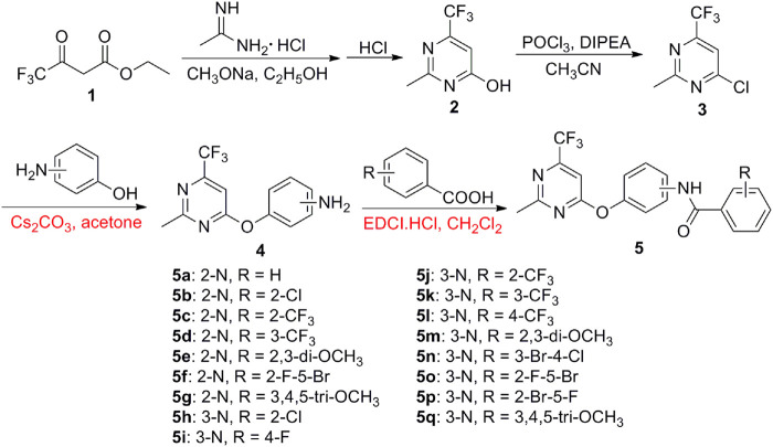 SCHEME 1