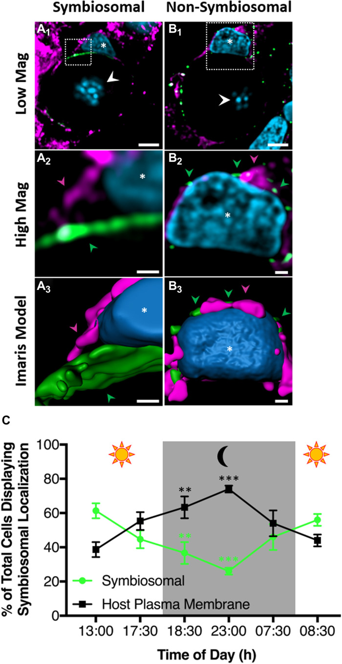 Fig. 4.