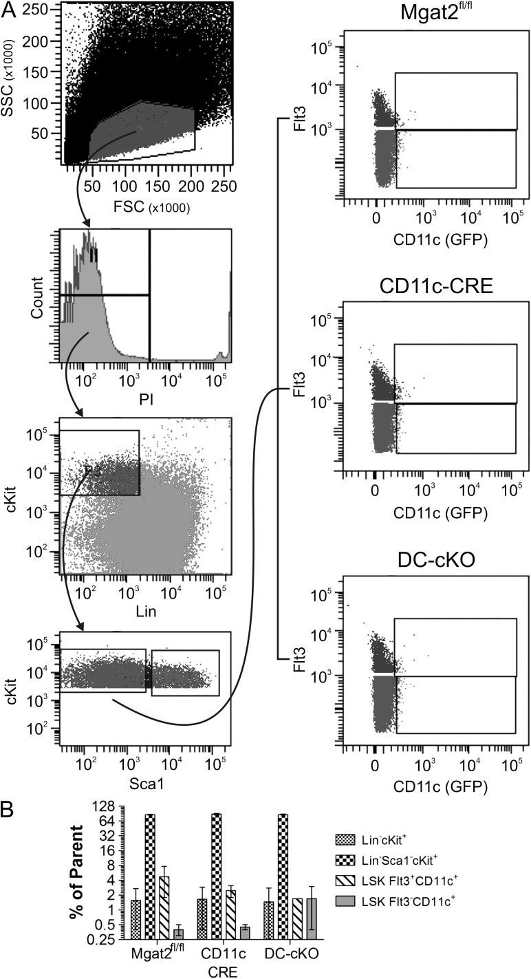 Fig. 8.