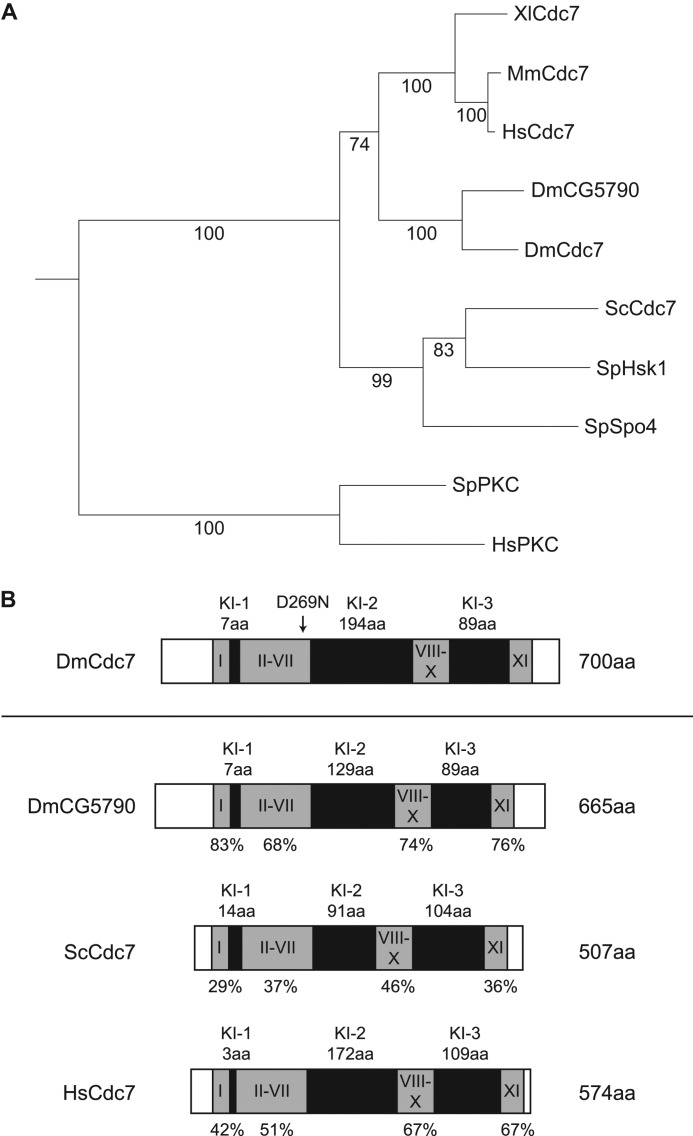 FIGURE 1.