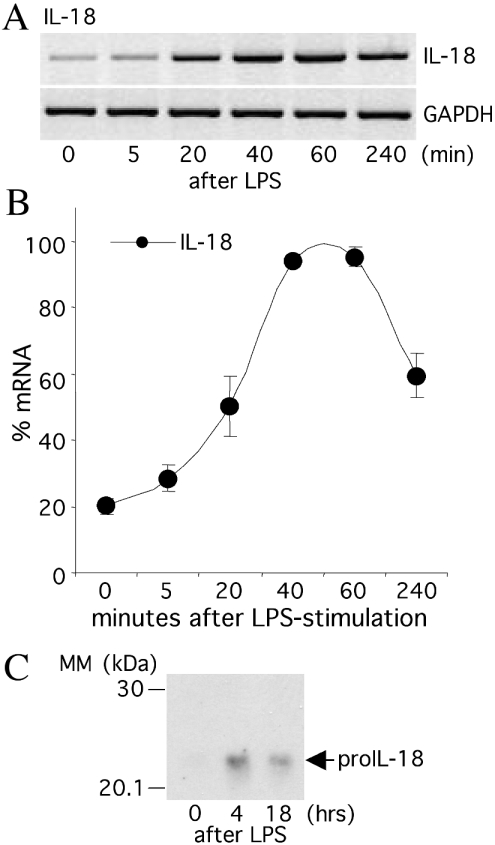 Figure 9