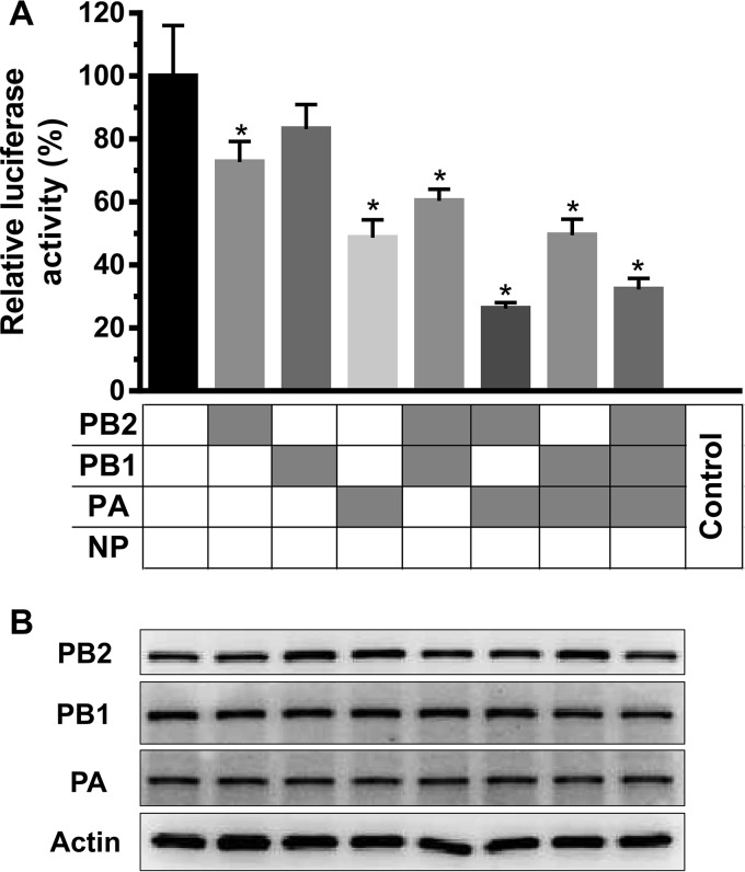 FIG 6