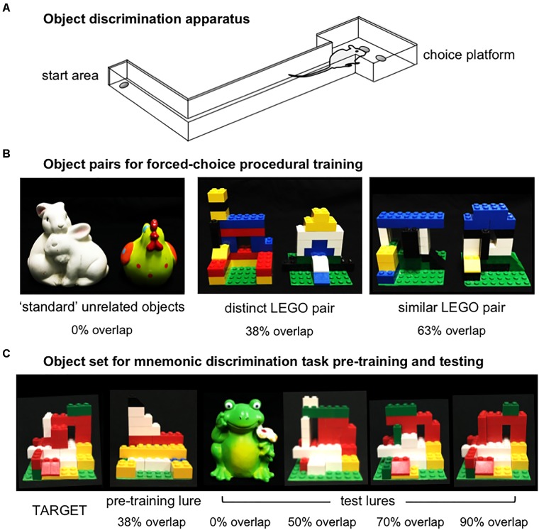 FIGURE 2