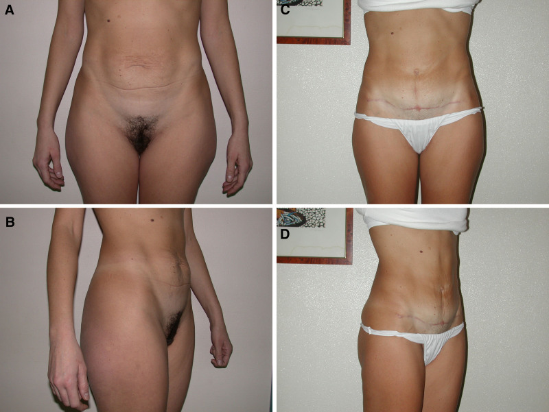 Fig. 4.