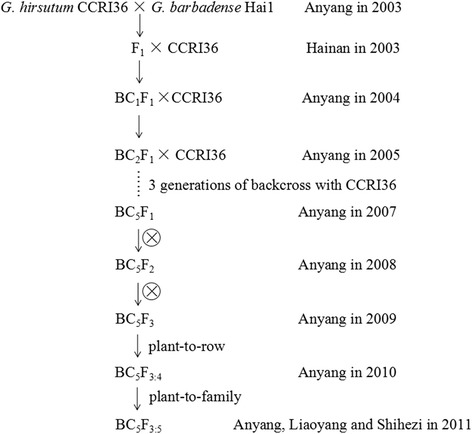 Fig. 13