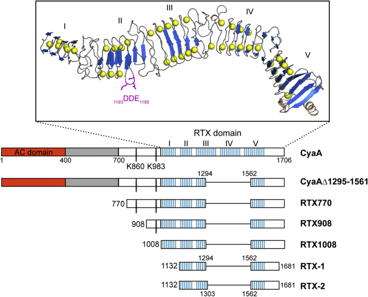 Figure 1