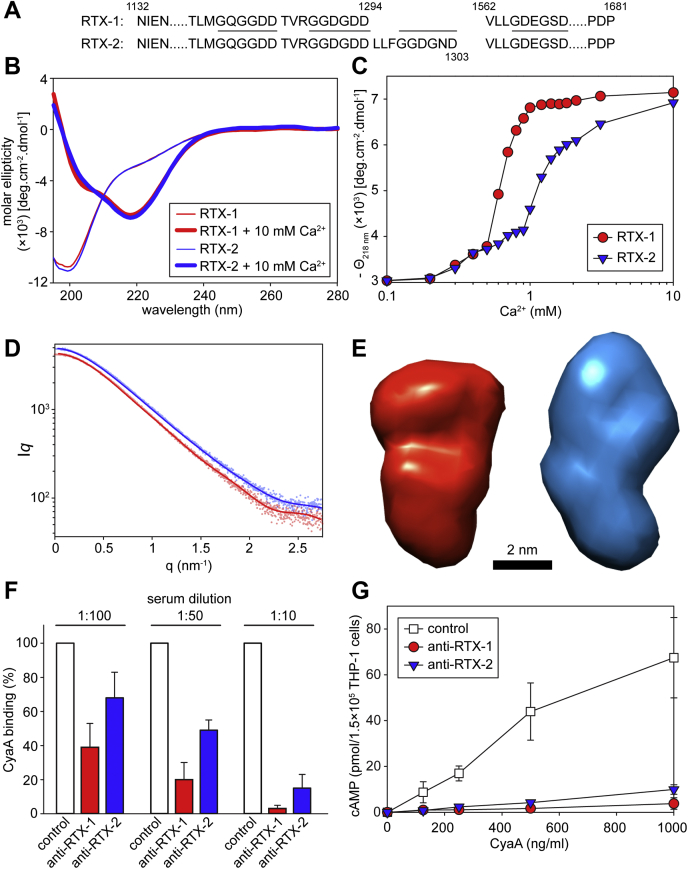 Figure 2