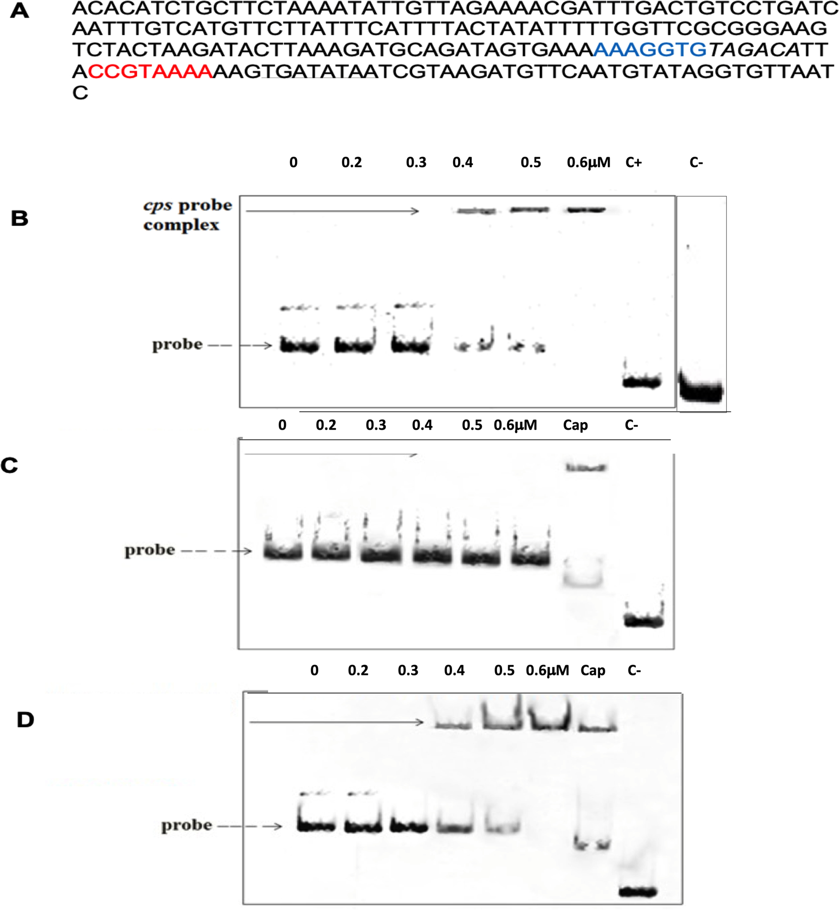 Figure 6: