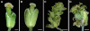 Figure 9.