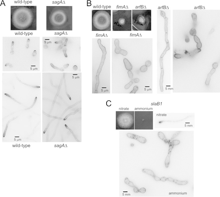 FIG 2