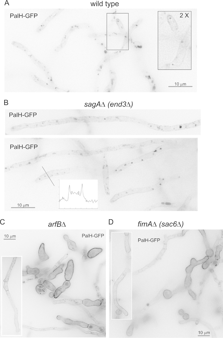 FIG 3