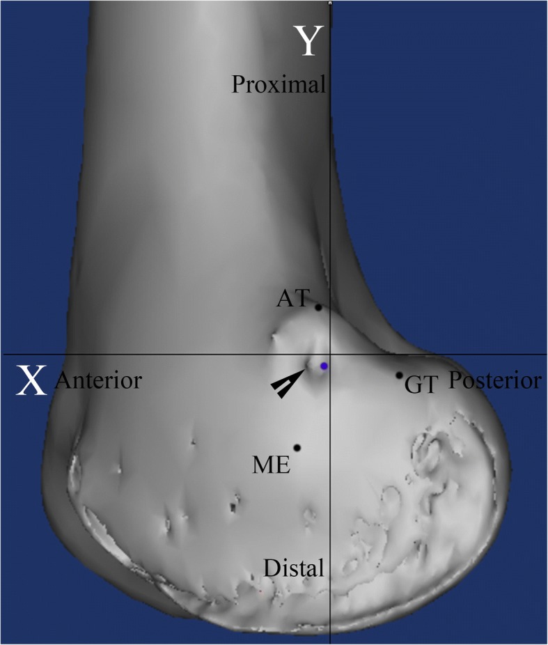 Fig. 5