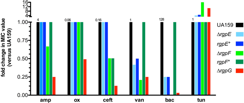 FIGURE 3