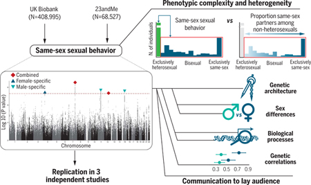 graphic file with name nihms-1066422-f0006.jpg