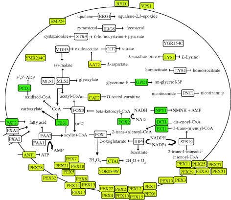 Figure 4.