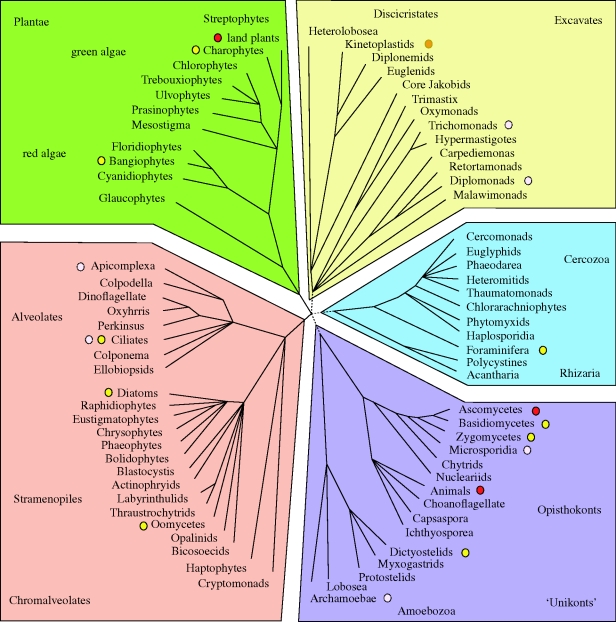 Figure 1.