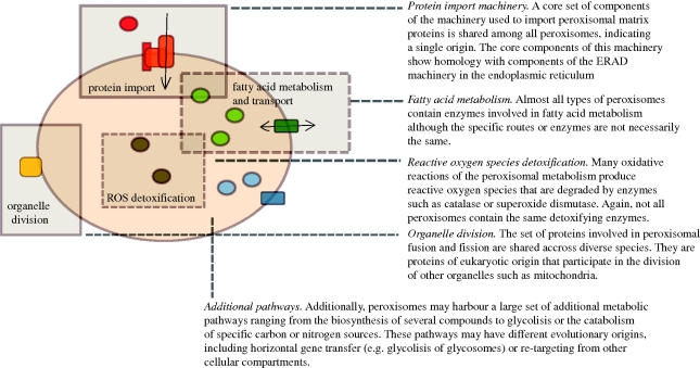 Figure 2.