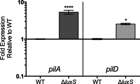 FIG 2