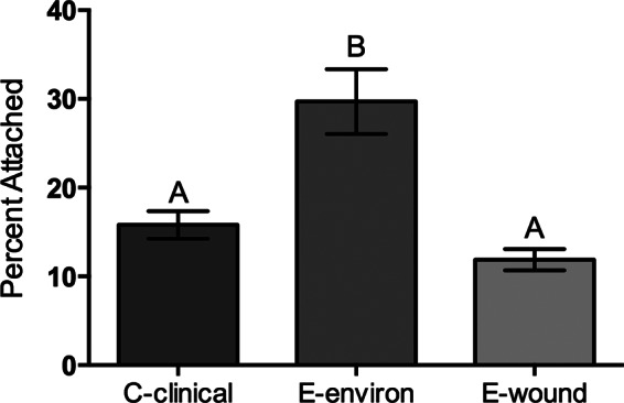 FIG 6