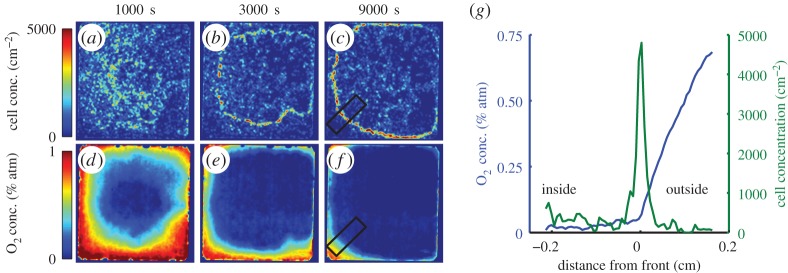 Figure 6.