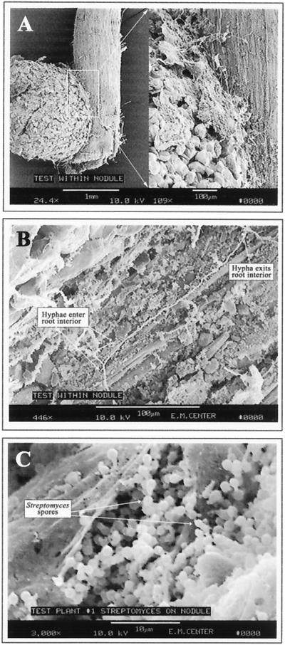 FIG. 8.