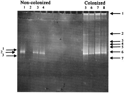 FIG. 9.