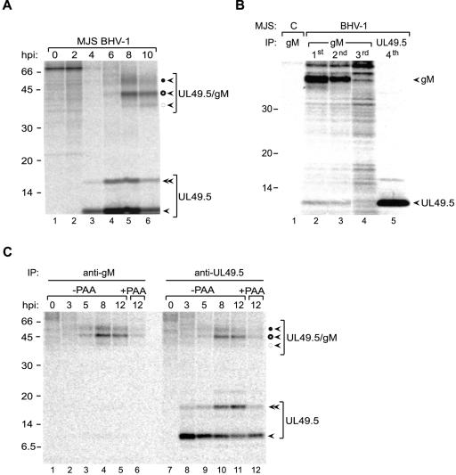 FIG. 6.