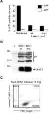 FIG. 5.