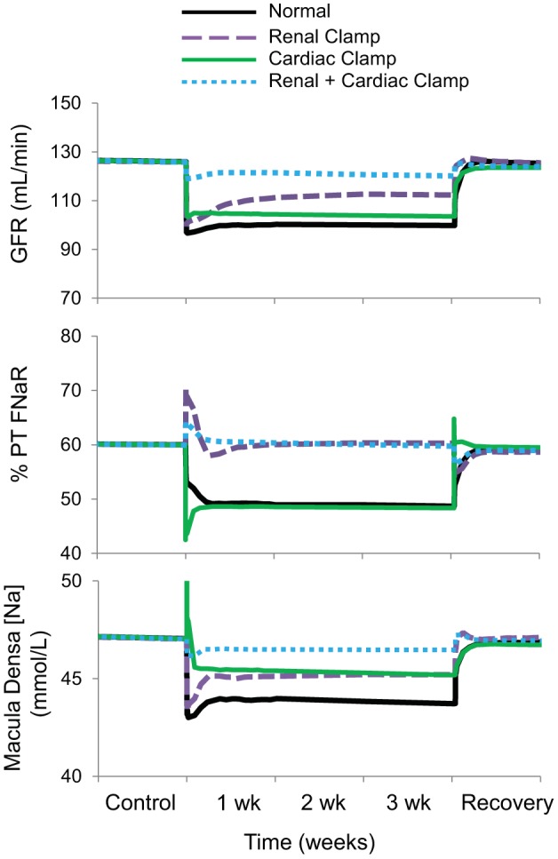 Fig. 7.