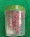 Figure 4: