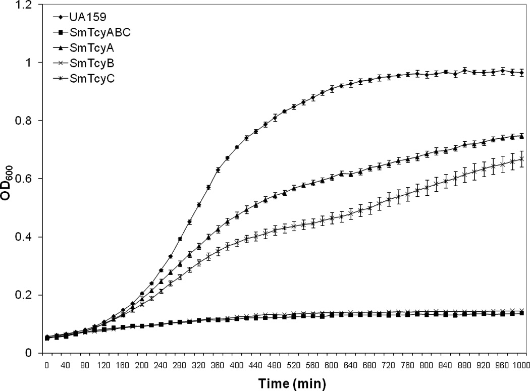 FIGURE 6