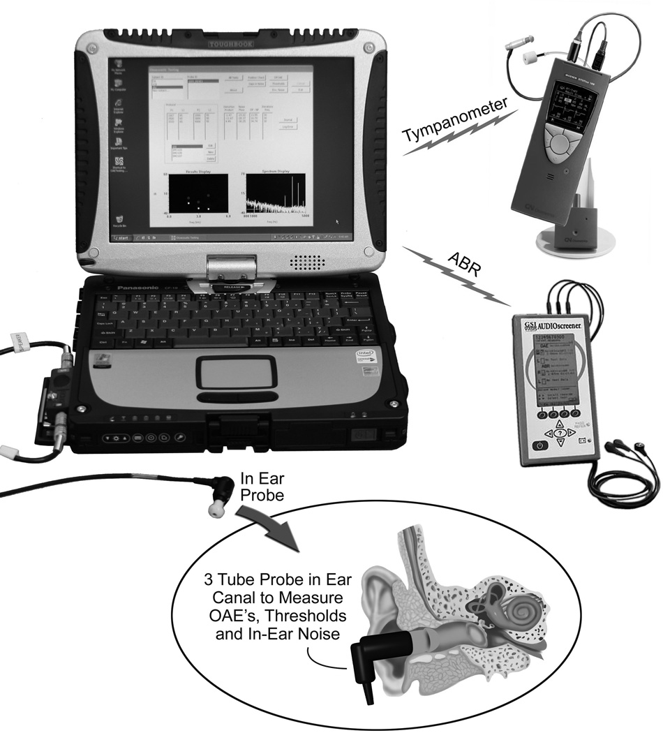 Figure 1