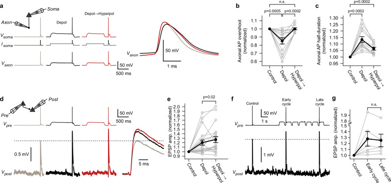 Fig. 4