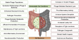 Image, graphical abstract