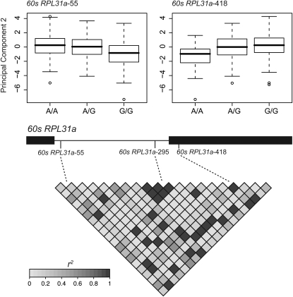 Figure 2.—