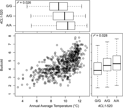 Figure 3.—