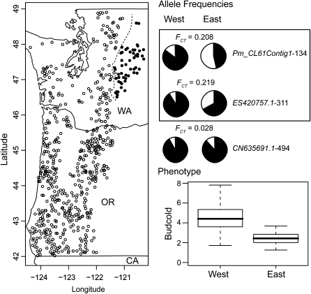 Figure 4.—