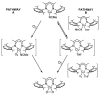 Scheme 7