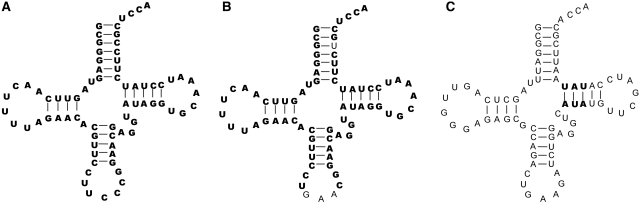 Figure 6.