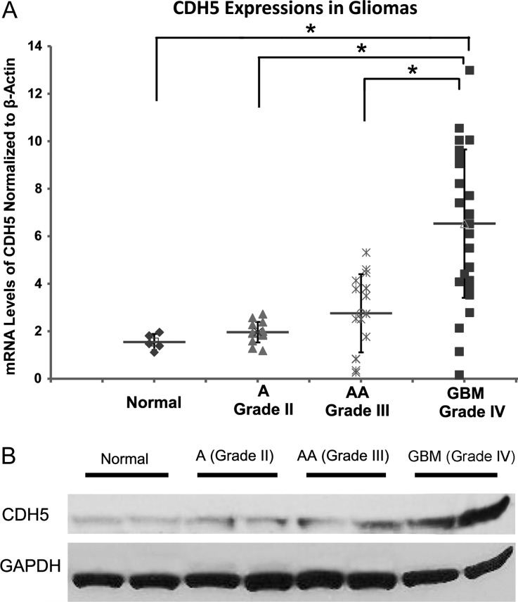 Fig. 1.