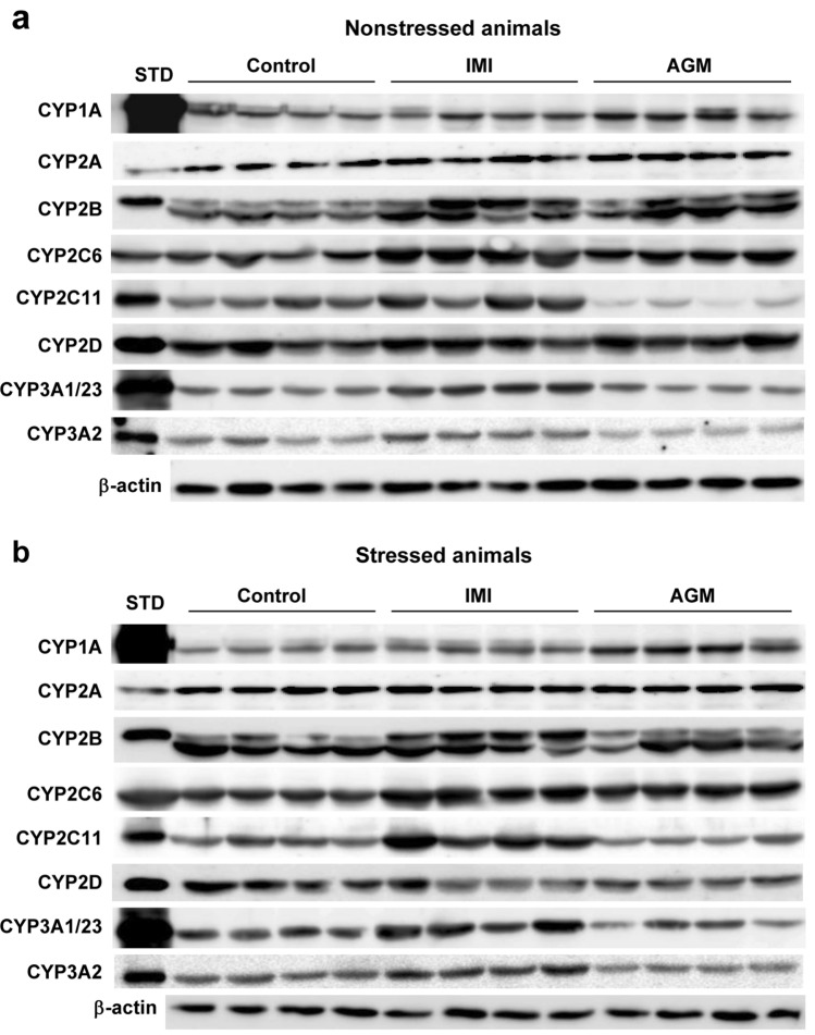 Fig. 8