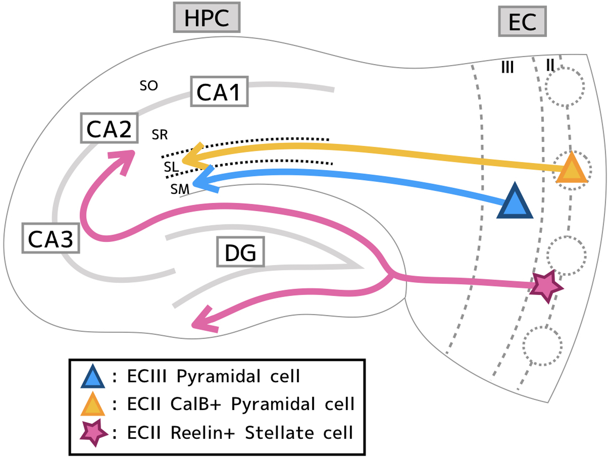 Figure 1,