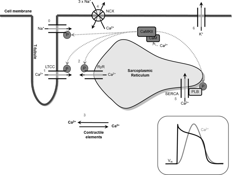 Fig. 2