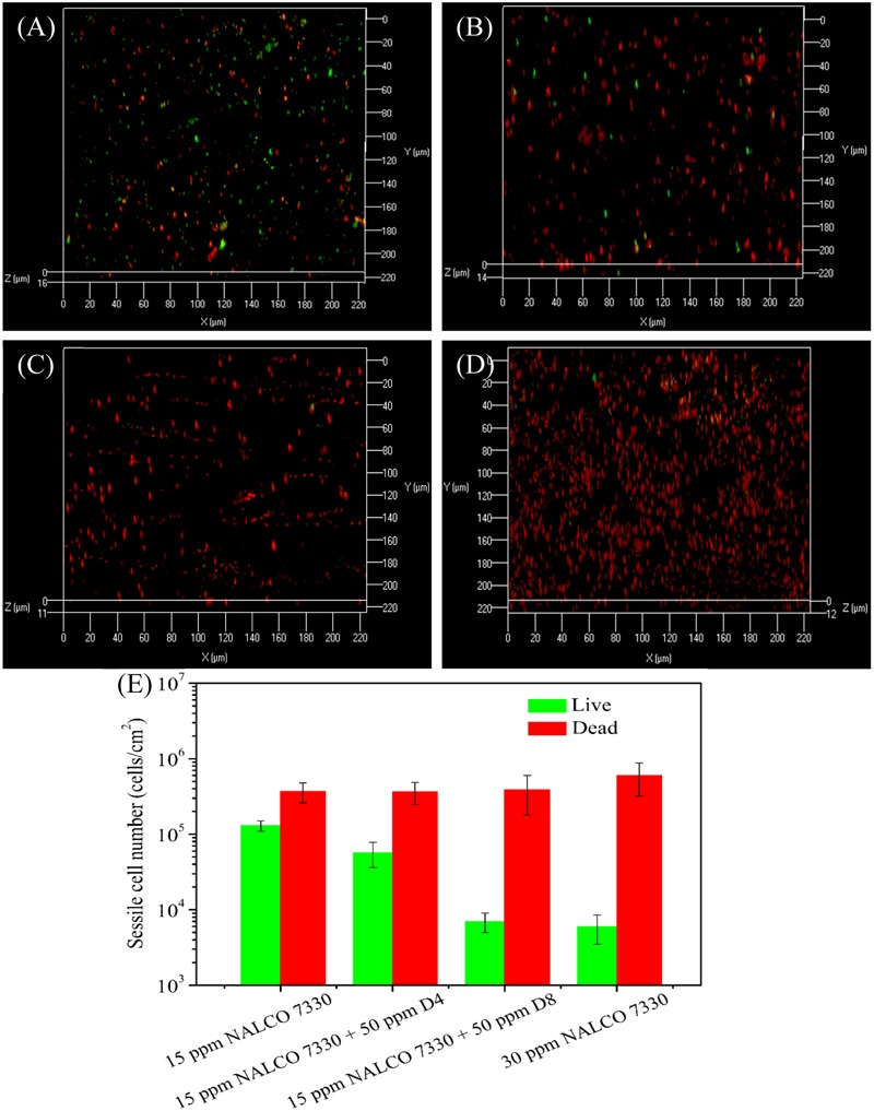 FIGURE 6