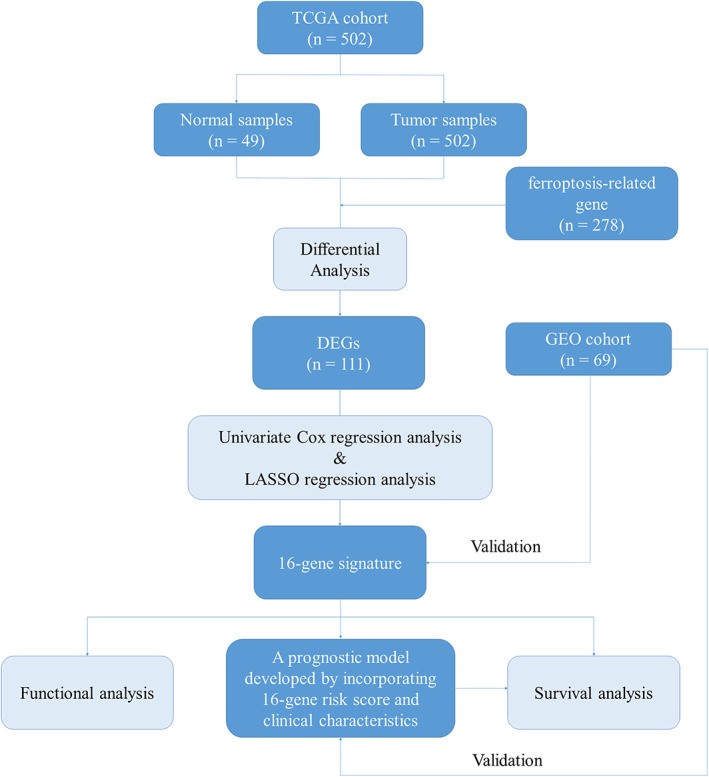 FIGURE 1