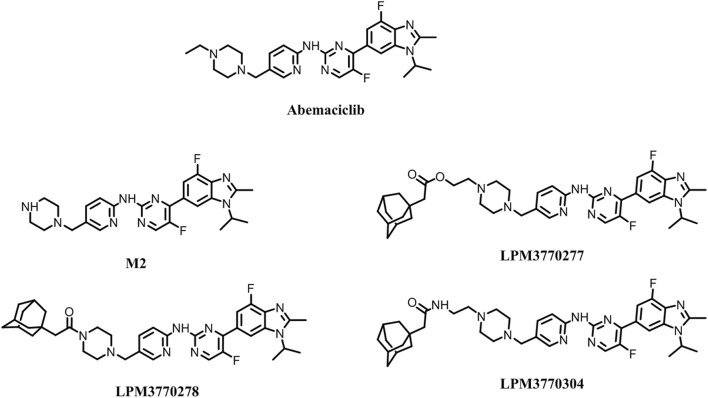 FIGURE 1