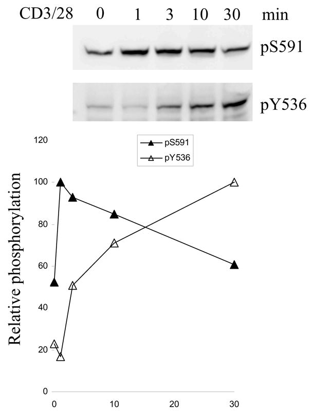 Fig 5