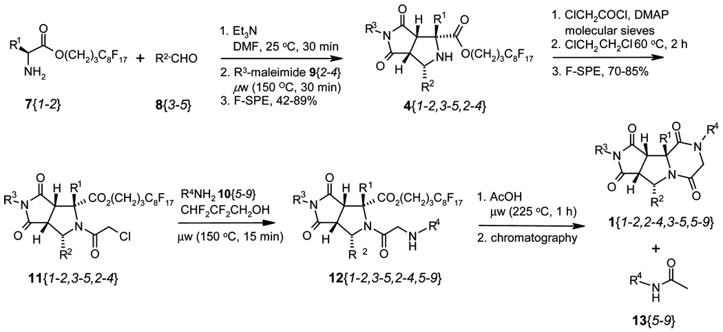 Scheme 6